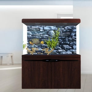 AMONIDA Sticker de fond d'aquarium, PVC Sticker décoratif Aquarium, pour réservoir de poisson Aquarium