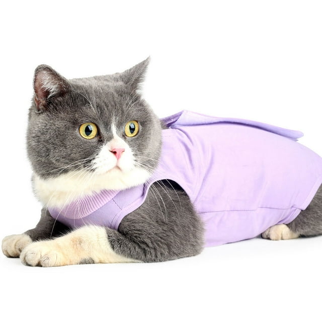 1 pieza de ropa para mascotas, traje de esterilización/castración para gatos, traje de destete postoperatorio, traje de recuperación, rehabilitación postoperatoria para gatos madre