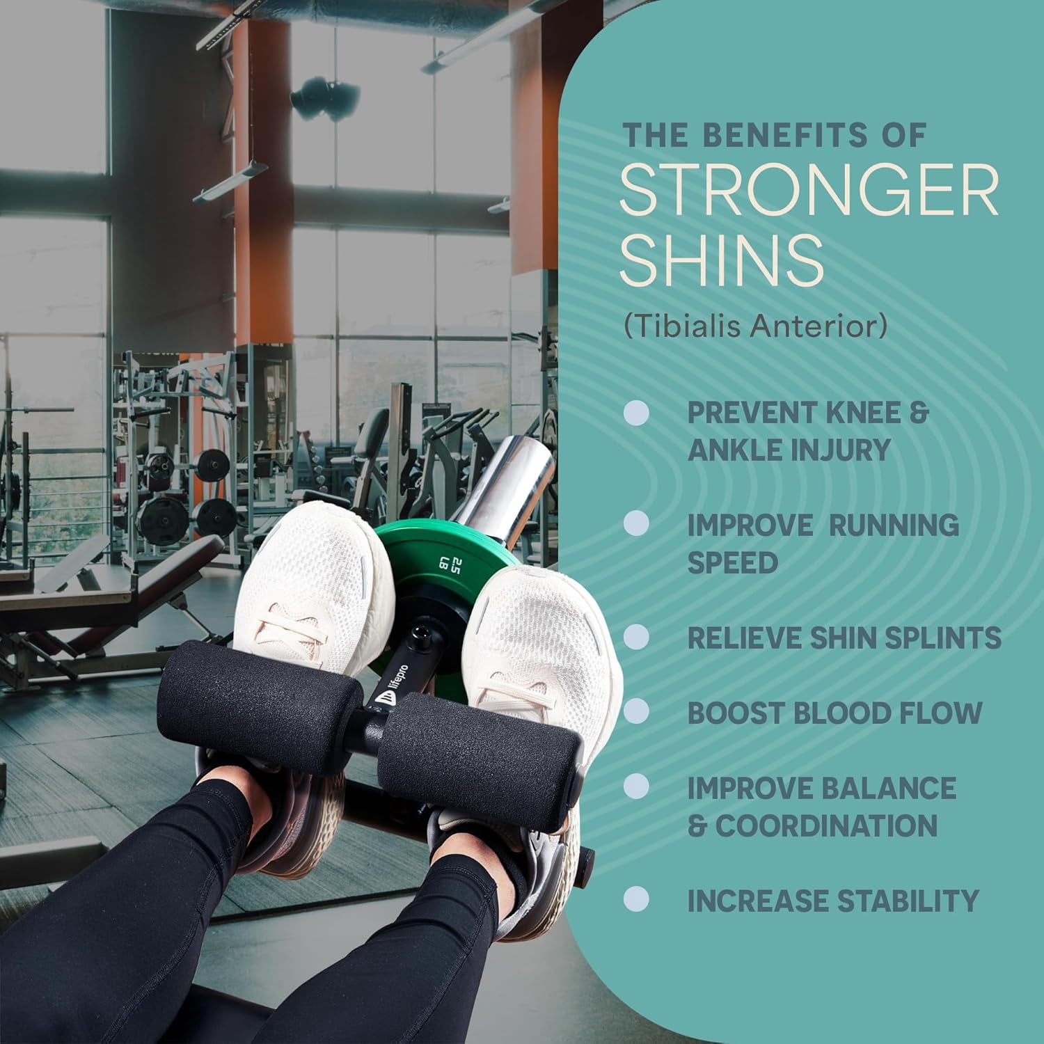 LifePro Tib Bar – Anterior Tibialis Strength Trainer for Dorsiflexion and Lower Leg Workouts