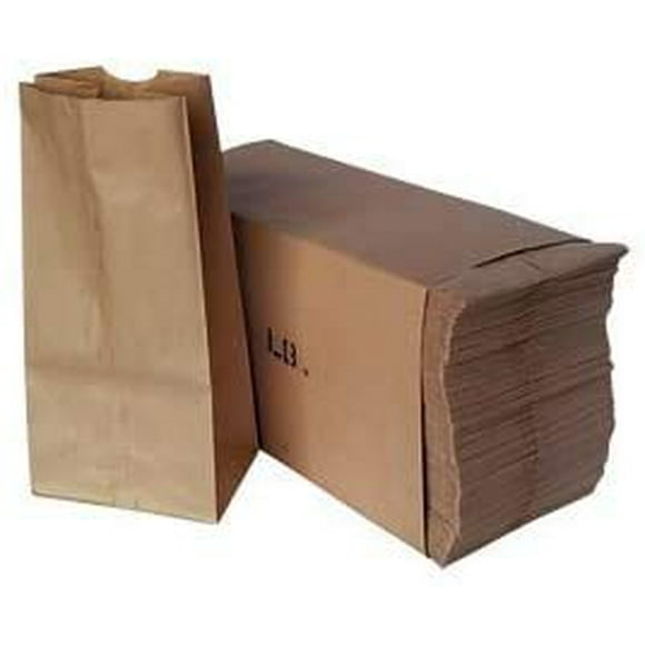 Pack of 500 Bags (Brown 4) 2 LB Paper Lunch Bags Grocery Bags Durable Kraft Paper Bags