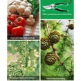 thumbnail image 2 of Scienceny 6 uds. Y tijeras ligeras para mayor comodidad, tijeras y tijeras antipequeñas, 6 hojas de tijeras, rama oxidada Jardín y Patio, 2 of 6