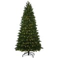 thumbnail image 1 of Vickerman 34407 - 10.5' x 74" Oregon Fir 1,200 Warm White LED Lights Christmas Tree (S130286LED), 1 of 1