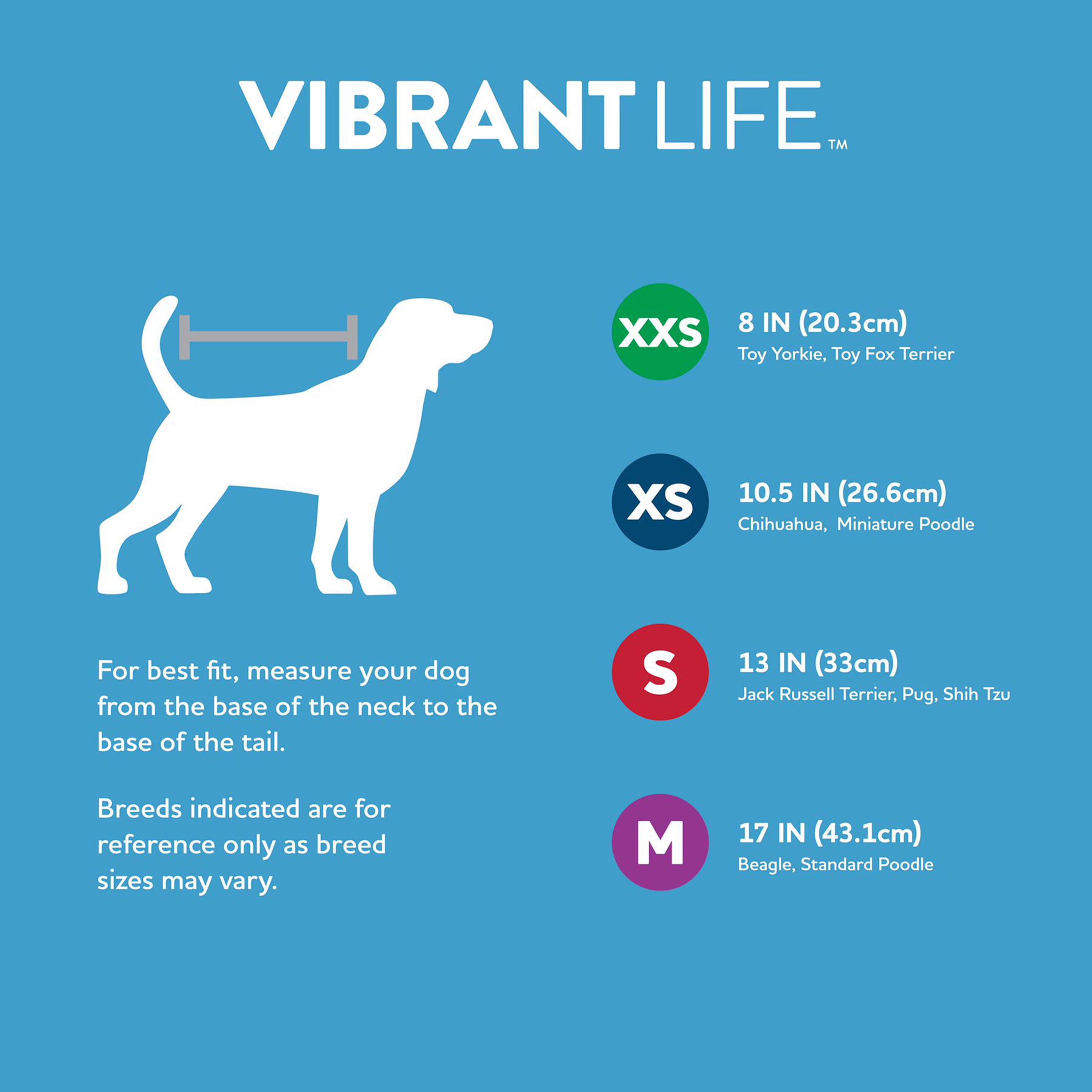 Vibrant Life Pet Bikini for Dogs, Tropical Leaves, Small