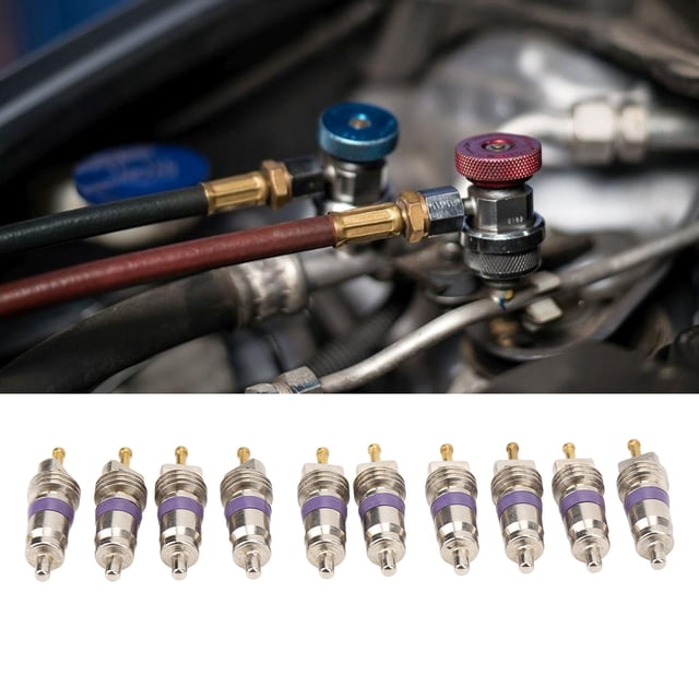 Núcleo de Vástago de la Válvula, 20pc Práctico Seguro Seguro para Instalar El Núcle de Válvula de Aire Acondicionado para El Automóvile Robusto para Mantenimiento
