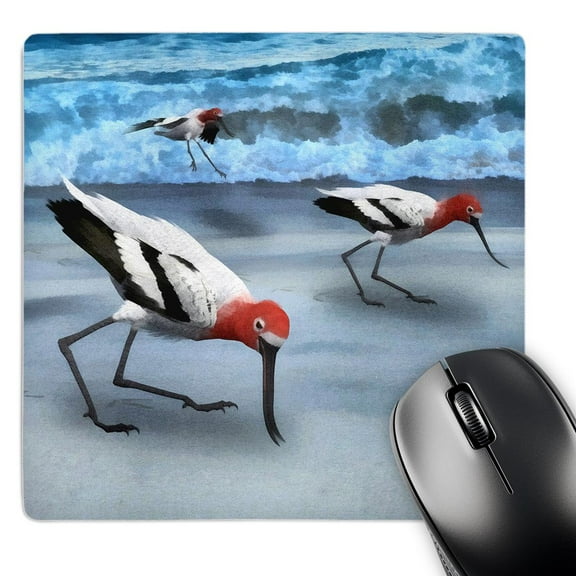 3dRose, Avocet birds on a beach, MousePad