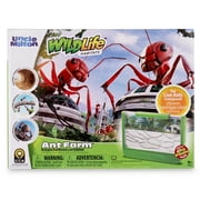 Ant Farm - Rainforest - Green - Uncle Milton Scientific Educational Toy