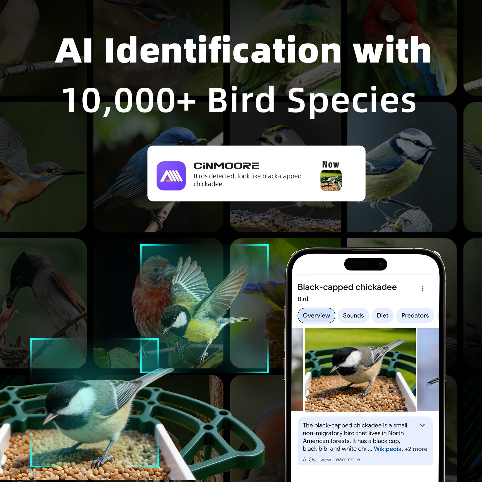 CINMOORE No-Monthly-Fees Solar Bird Feeder w/ 4MP Camera, Free AI Birds Species Identification, 2.5K Smart Bird House with Camera, Live View & Playback, Instant Arrival Alerts, Ideal for Birdlovers