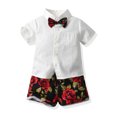 thumbnail image 6 of Odeerbi Toddler Two-piece Set Boys Summer Bow Formal Suit Gentleman School Uniform Suit Short Sleeve Printing Bowknot Shirts Shorts Photography Performance Set Baby Outfits Burgundy, 6 of 9