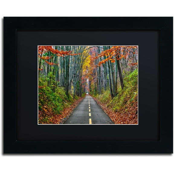 Trademark Fine Art "Paths" Canvas Art by CATeyes, Black Matte, Black Frame
