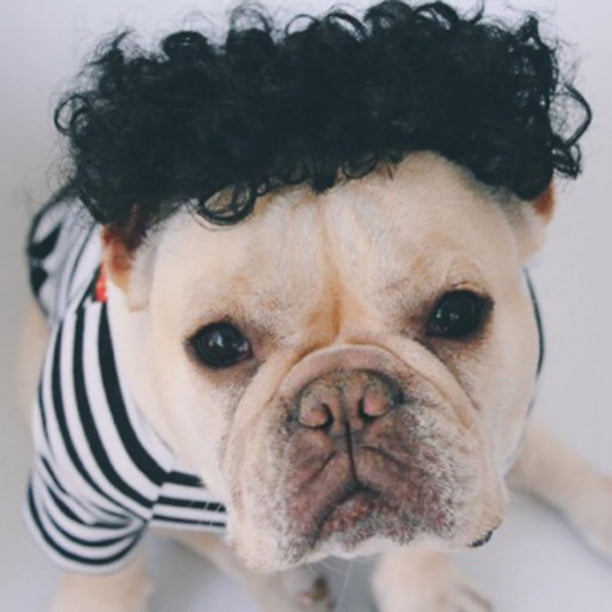 Pelucas Para Perros Peluca De Disfraz Para Mascotas Peluca De Pelo Rizado Y Trenzas De Colores Para Perros, Gatos Y Mascotas Pequeñas