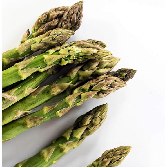 UC 72 Asparagus Garden Seeds - 2 g Packet ~60 Seeds - Non-GMO, Open Pollinated, Perennial Vegetable Gardening Seeds