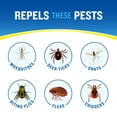 thumbnail image 3 of Unscented Cutter Insect Repellent 11 Ounces, Aerosol, with 10 Percent DEET, 3 of 14