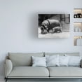 thumbnail image 2 of Print Collection 'Adult and Baby Hippopotamus' Canvas Art, 2 of 4