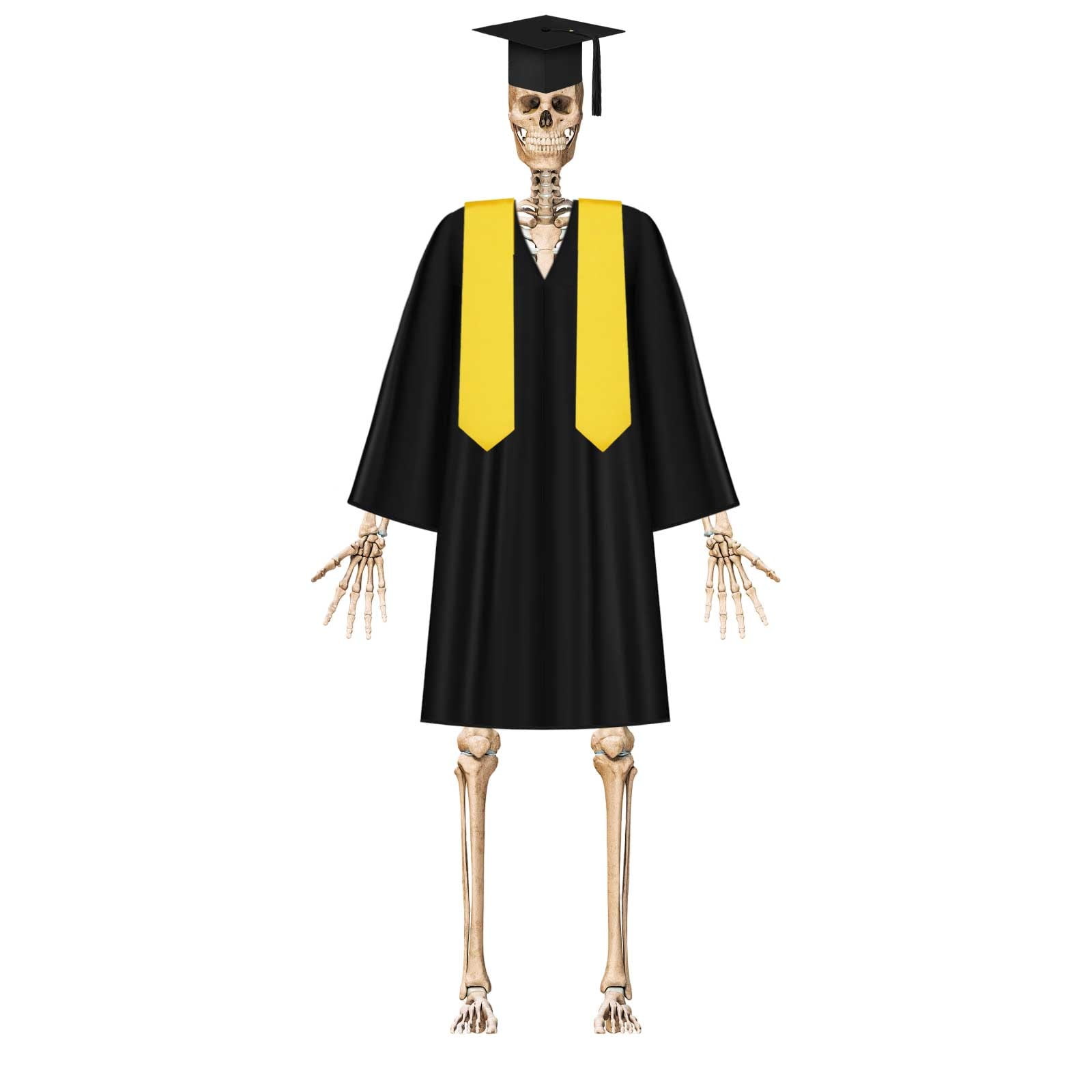 3Pcs Graduation 12ft Skeleton Clothes Accessories Skeleton Graduation Clothing With Hat Shawl Skeleton For 12 Ft Skeleton Dress Graduation Decoration Puppy Party Decorations for Girls Event Horizon