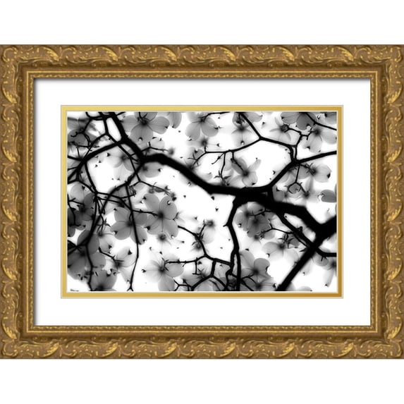 Wright, Sarah 14x11 Gold Ornate Wood Framed with Double Matting Museum Art Print Titled - Dogwood