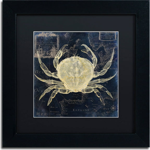 Trademark Fine Art "Maritime Blues III" Canvas Art by Color Bakery, Black Matte, Black Frame