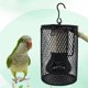 thumbnail image 2 of Winter Night Heating Reptile Heating Lamp Pet Cage Heater Kit Parrot Heating Lamp Multifunctional Lighting Turtle Heater Lizard Reptile Bird Cage Deco, 2 of 5