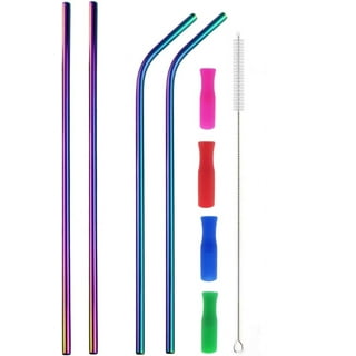 Neon Rainbow Stainless Steel Reusable Straw 