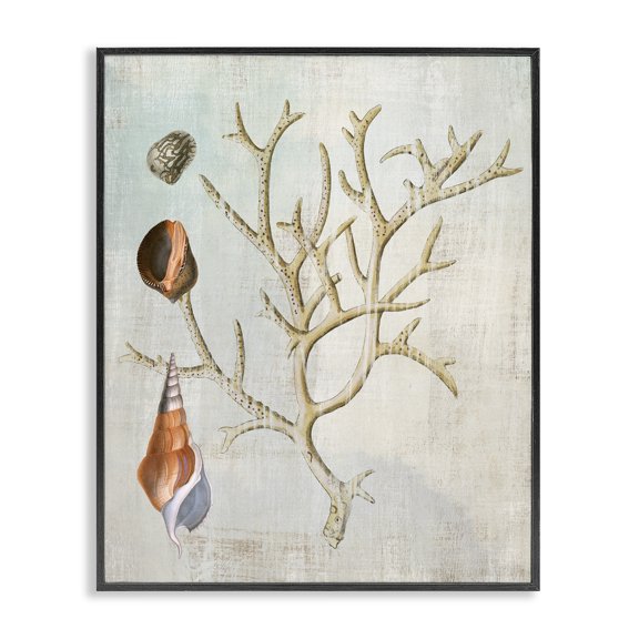 Stupell Industries Cottage Seashells and Coral Branch Black Framed Giclee Art, 11 x 14, by Susan Arnot