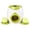 Green, variant on BESTSKY Automatic Ball Launcher for Dogs,Ball Launcher Ball Launcher for Dogs,One-Button Control Dog Ball Launcher,Green