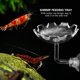 thumbnail image 3 of wifehelper Camarón Alimentar Plato Acrílico Lechón Taza Dise?o Acuario Tazón Bandeja Agua Comida Peque?os Reptiles Gusanos Mascotas Comedero Plato Khall Tendencias, 3 of 6