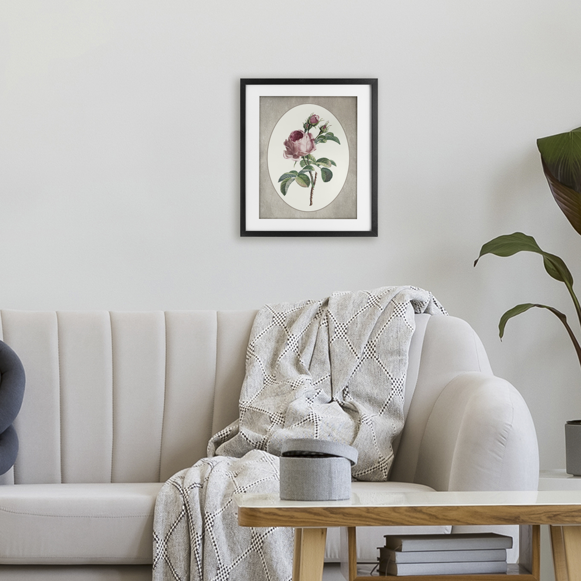 Vintage Rose within Oval Black Framed Print Under Glass, design by Lettered and Lined