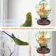 thumbnail image 3 of 1 Set Práctico Pájaros Alimentador Pájaros Agua Alimentación Herramienta Vidrio Aves Dispensador de alimentos, 3 of 6