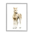 thumbnail image 3 of Stupell Industries Baby Horse Foal Watercolor Portrait Kids' Nursery Animal, 24 x 30,Design by Fox Hollow Studios, 3 of 5
