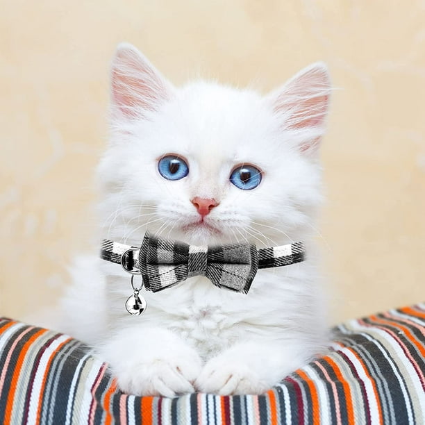 Kitten top bow tie