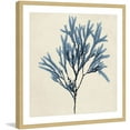thumbnail image 2 of Marmont Hill "Coastal Seaweed VIII" Framed Painting Print, 2 of 6