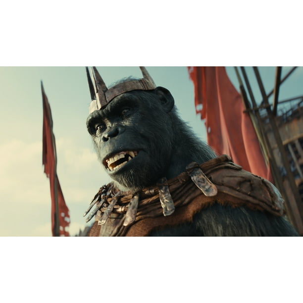 Medicom Kubrick Planet of the Apes General Ursus and Stallion