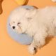 thumbnail image 5 of Almohada para gatos Almohada para el cuello del perro Almohada suave en forma de U para mascotas Almohada monoplaza monada Adecuada para cachorros Accesorios para mejorar el sueño de las mascotas, 5 of 6