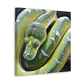 thumbnail image 5 of "Green Tree Python Beauty" - Canvas, 5 of 25