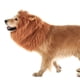 thumbnail image 5 of Disfraz para Mascotas ANGGREK Peluca de Melena de León Suave para Perros, 5 of 8