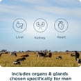 thumbnail image 5 of Ancient Nutrition Organ Supplements for Men, Once Daily Grass-Fed and Wild Organ Complex Tablets, Liver, Prostate, Pancreas Supports Male Performance, Healthy Aging, 30 Ct, 5 of 7