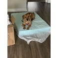 thumbnail image 6 of Dogbed4less 55"x37"x4" Cooling Gel Infused Solid Memory Foam Pad for Extra Large Dog, 6 of 7