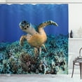 thumbnail image 1 of Ambesonne Turtle Shower Curtain, Cheloniidae Deep Ocean, 69"Wx70"L, Violet Blue Pale Brown, 1 of 3