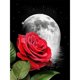 thumbnail image 1 of Cuadros Decorativos 5D Luna rosa mosaico diamante pintura dibujo completo redondo taladro DIY arte artesanía Ehuebsd Nuevos Originales, 1 of 5