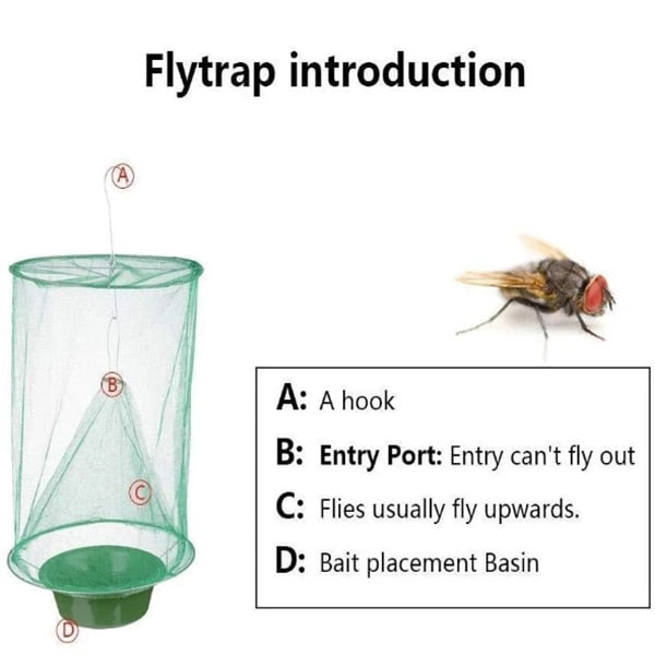 Fly 2024 trap design