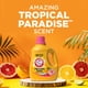 thumbnail image 3 of Detergente Líquido para Ropa Arm & Hammer Paraíso Tropical 3L 89 Cargas, 3 of 9