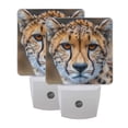 thumbnail image 7 of Elegant Leopard Night Light 2 Pack LED Nightlight Plug into Wall Dusk to Dawn Sensor Soft White, 7 of 7