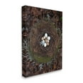 thumbnail image 3 of Stupell Industries Bird Nest Wildlife Forest Nature Speckled Eggs Photograph Gallery Wrapped Canvas Print Wall Art, Design by Tania Soderman, 3 of 7