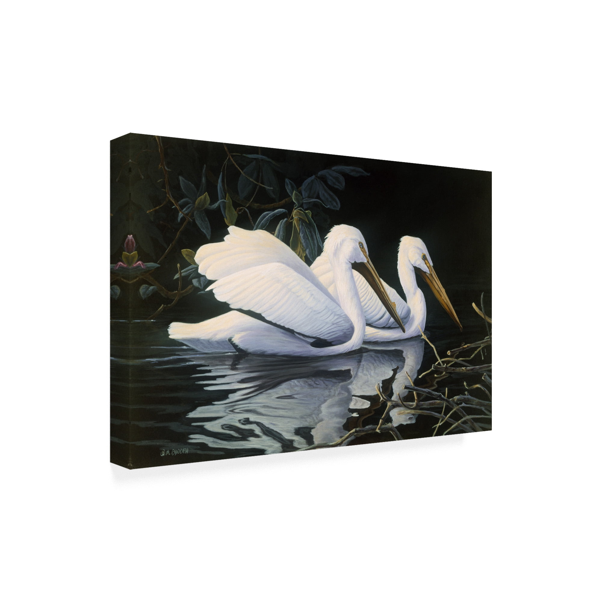 Trademark Fine Art 'Pelicans Swimming' Canvas Art by Michael Budden