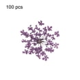 thumbnail image 1 of Flmtop 100Pcs Pressé Séché Ammi Majus Fleur Époxy Résine Clou Bricolage Téléphone Décor, 1 of 10