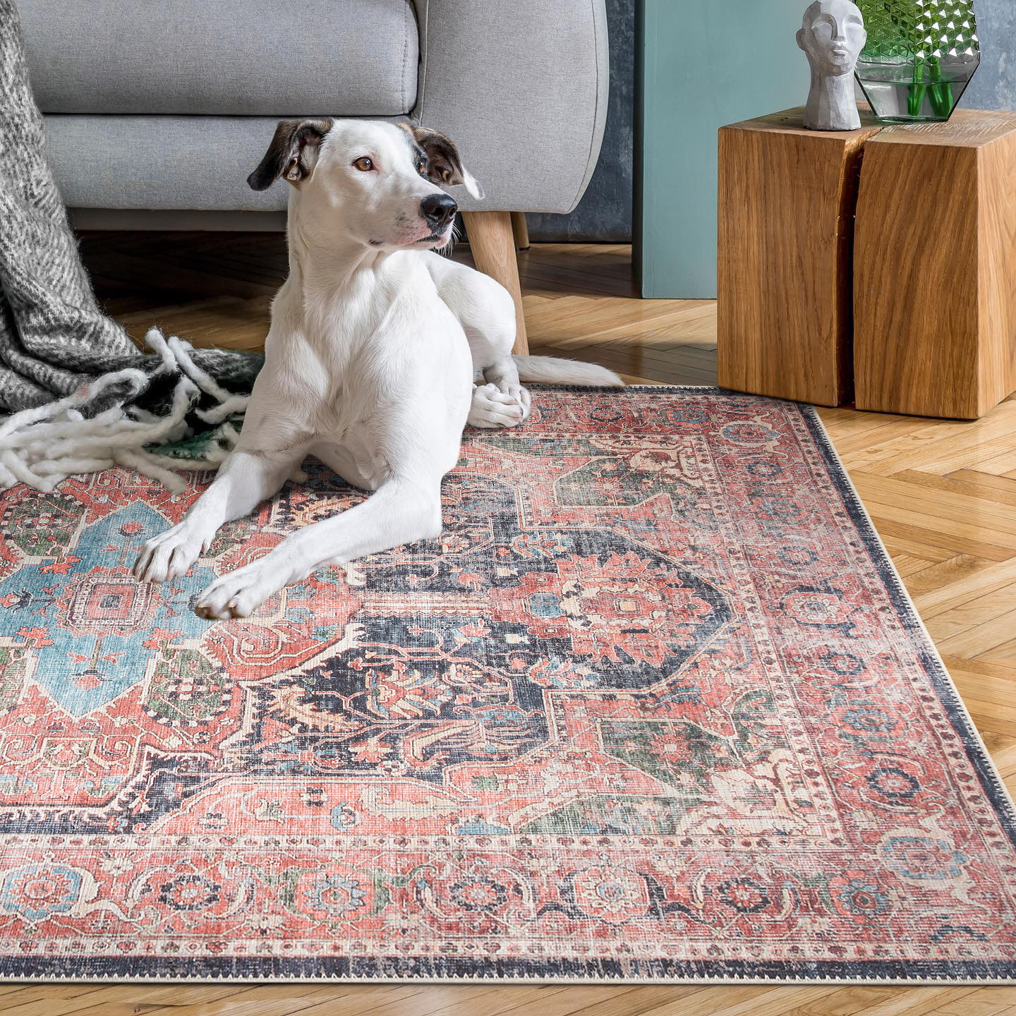 Adiva Rugs Machine Washable Area Rug with Non Slip Backing for Living Room, Bedroom, Bathroom, Kitchen, Printed Vintage Home Decor, Floor Decoration C Adiva Rugs Machine Washable Area Rug with Non Slip Backing for