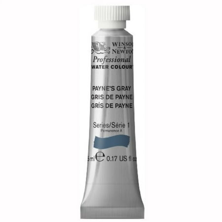 Winsor & Newton Professional Water Colour Paint, 5ml tube, Payne's