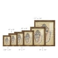 thumbnail image 3 of Seashell Ephemera I - Framed Print w/glass - Walnut, 3 of 7