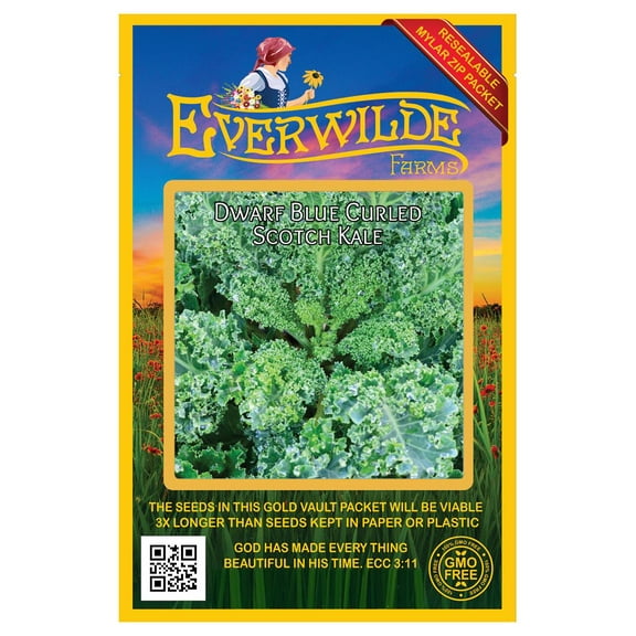 Everwilde Farms - 500 Dwarf Blue Curled Scotch Kale Seeds - Gold Vault Jumbo Bulk Seed Packet