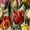 Color 4, variant on Peel and Stick Wallpaper Classic Botanical Art Tulips Detailed Hand Drawn Soft Lighting Wall Mural 23.6in x 9.8ft Self Adhesive Removable Renter Friendly Wall Paper Decor for Walls Cabinets Home