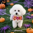 thumbnail image 5 of (2 Pack) Durable Halloween Pet Collar for Dogs and Cats - Chew- Polyester Accessory for Festive Indoor Outdoor Use, 5 of 5